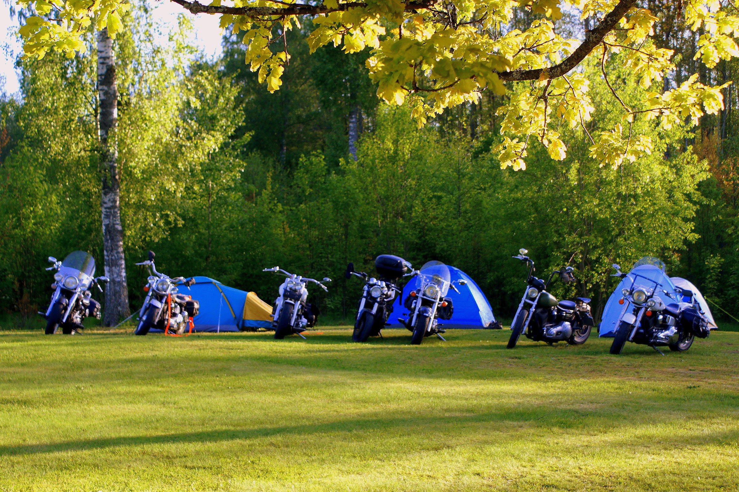 Otterbergets Bad & Camping (Hova)